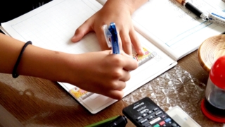 Thumbnail of post image 049